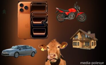 iPhone 17 или корова? Что можно купить на Полесье за 3 899 рублей