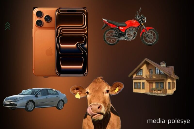 iPhone 17 или корова? Что можно купить на Полесье за 3 899 рублей