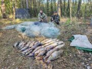 Фото: Пинский телеграм