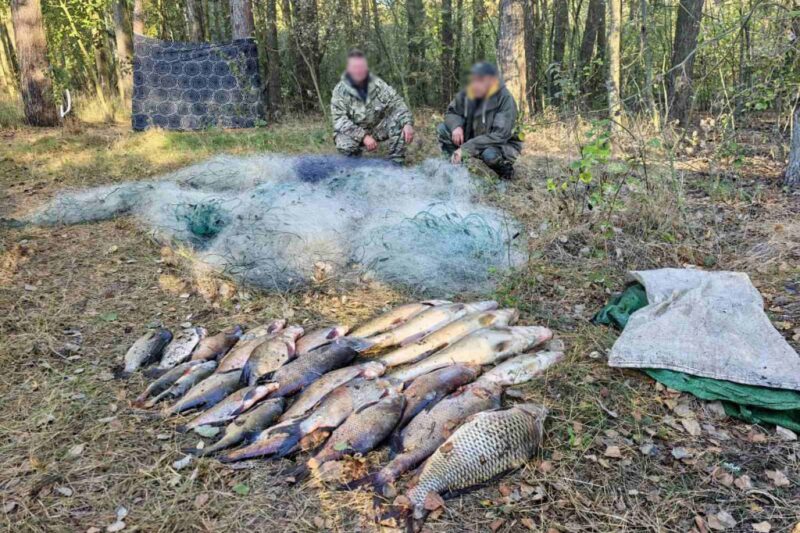 Фото: Пинский телеграм