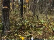 Курьер-новичок из Пинска не проработала и двух недель: задержана с килограммом психотропа