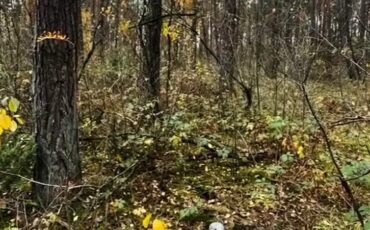 Курьер-новичок из Пинска не проработала и двух недель: задержана с килограммом психотропа