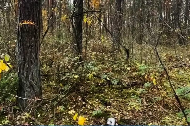 Курьер-новичок из Пинска не проработала и двух недель: задержана с килограммом психотропа