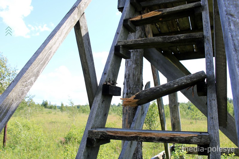 Смотровая площадка. Фото из архива "МП"