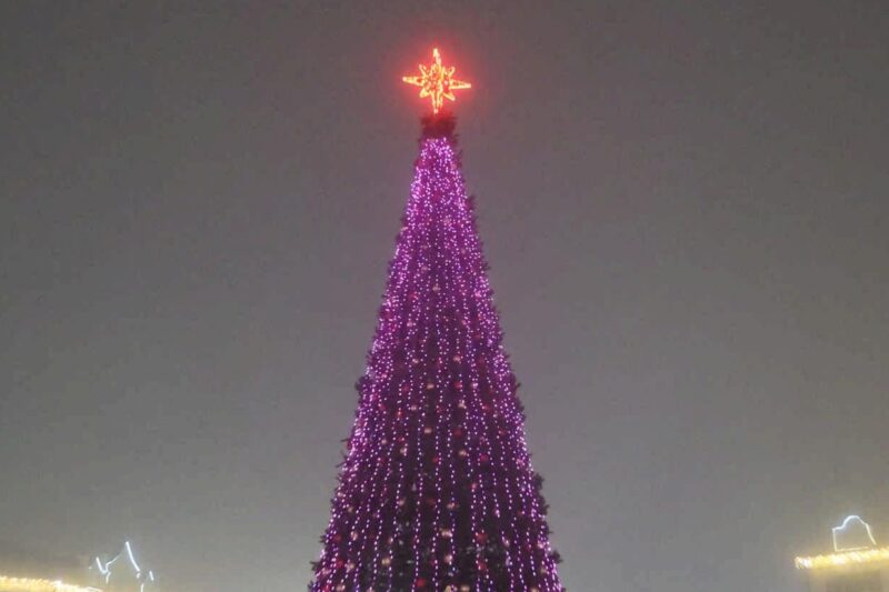 Елка Пинска 2025/2026