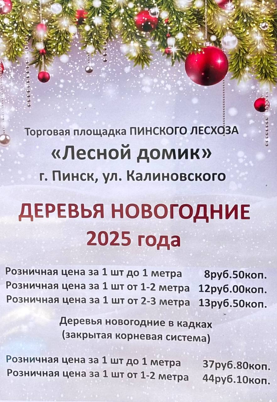 Цены на елки в Пинске 2025