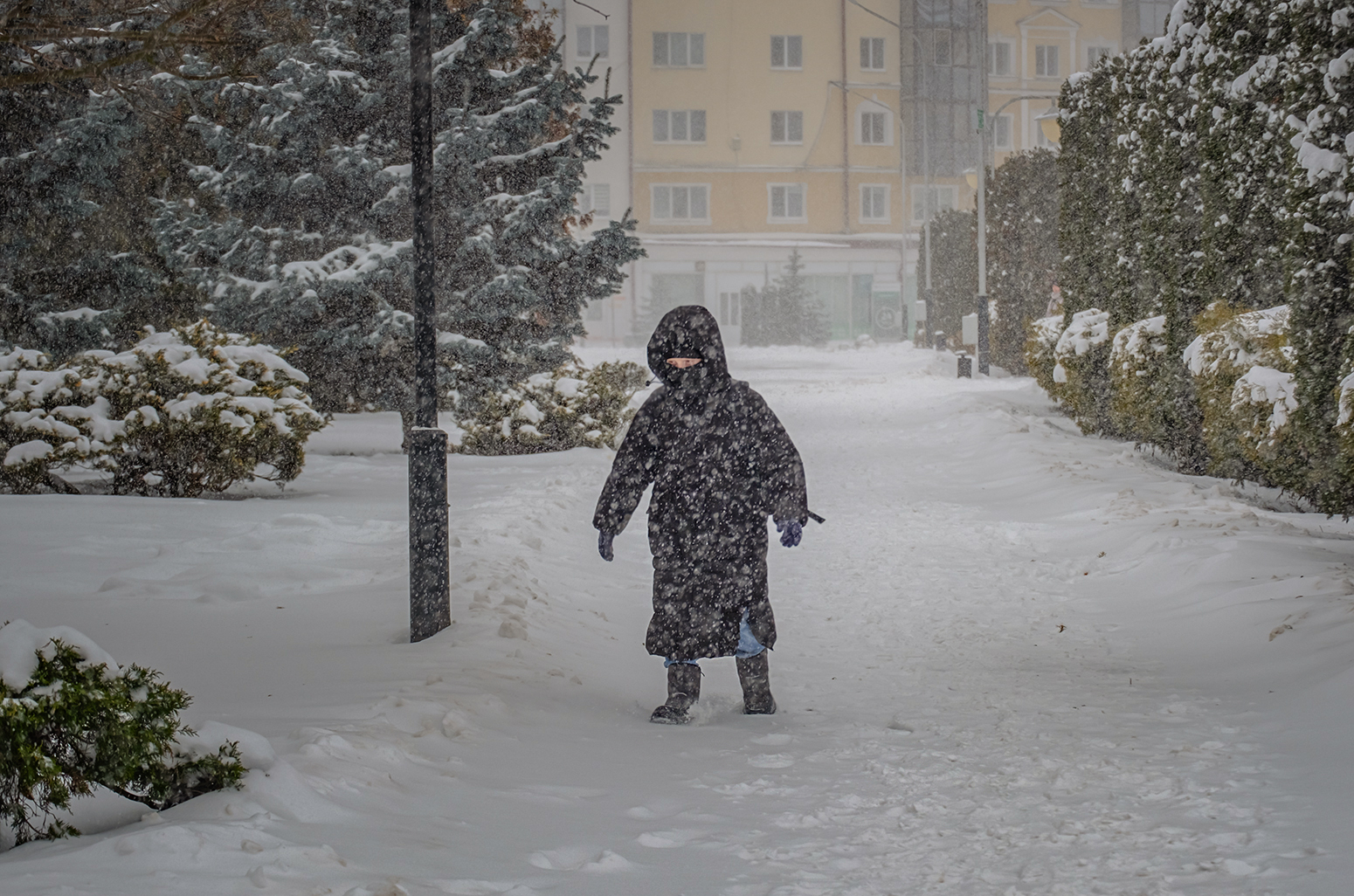 Это и фото по тексту Alexandr Shatohin
