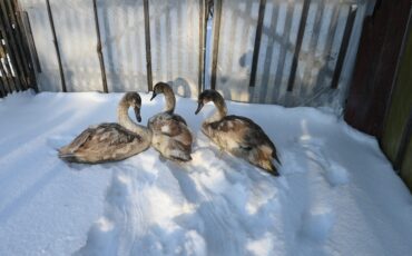 Фото: соцсети