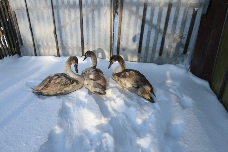 Фото: соцсети