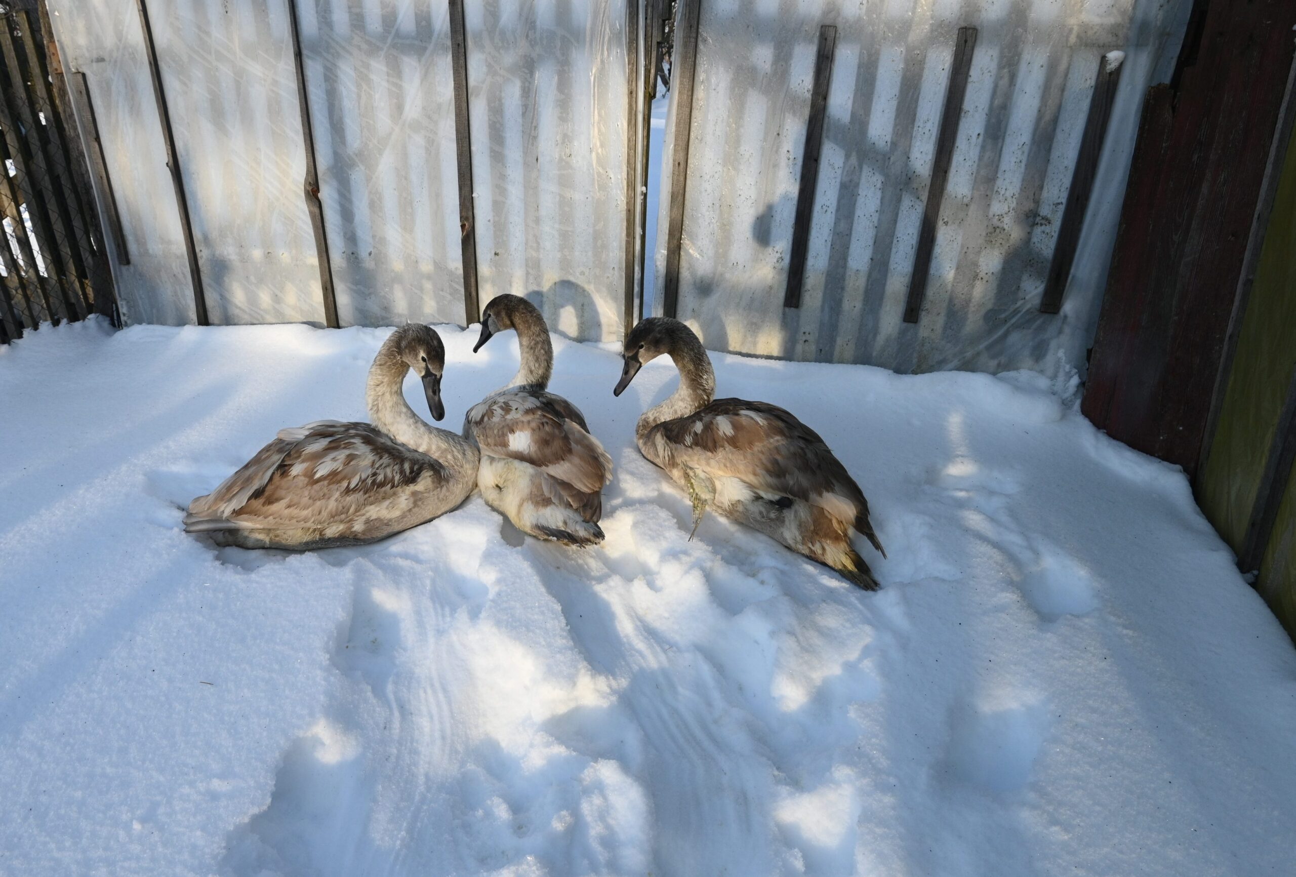 Фото: соцсети