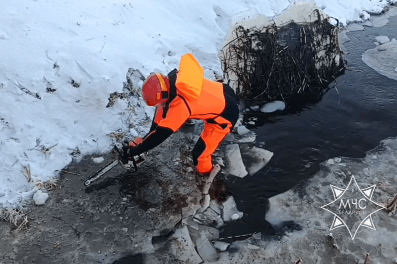 Скриншот из видео