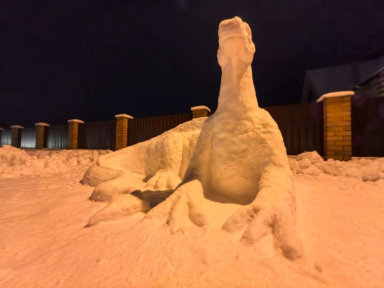 Фото: соцсети