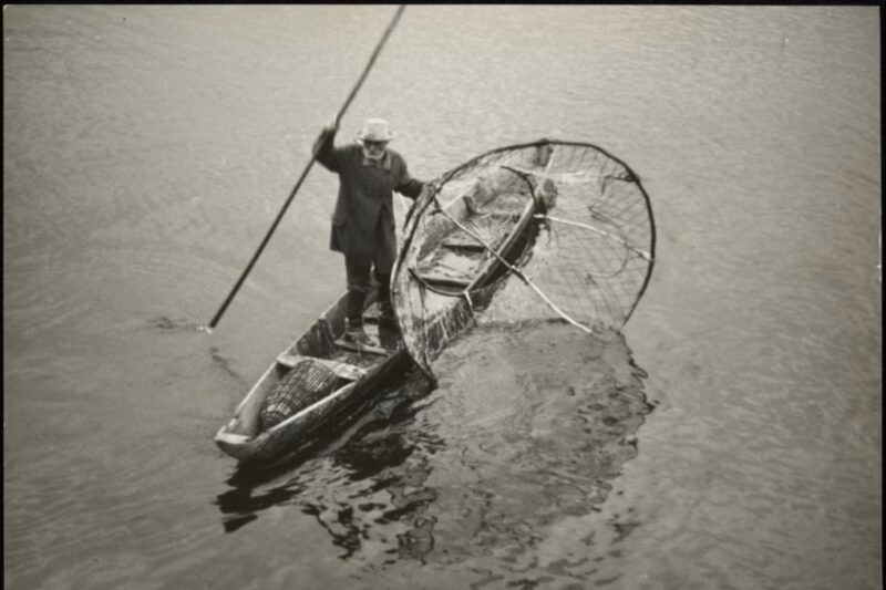 Рыбак ловит рыбу бреднем в реке Пине