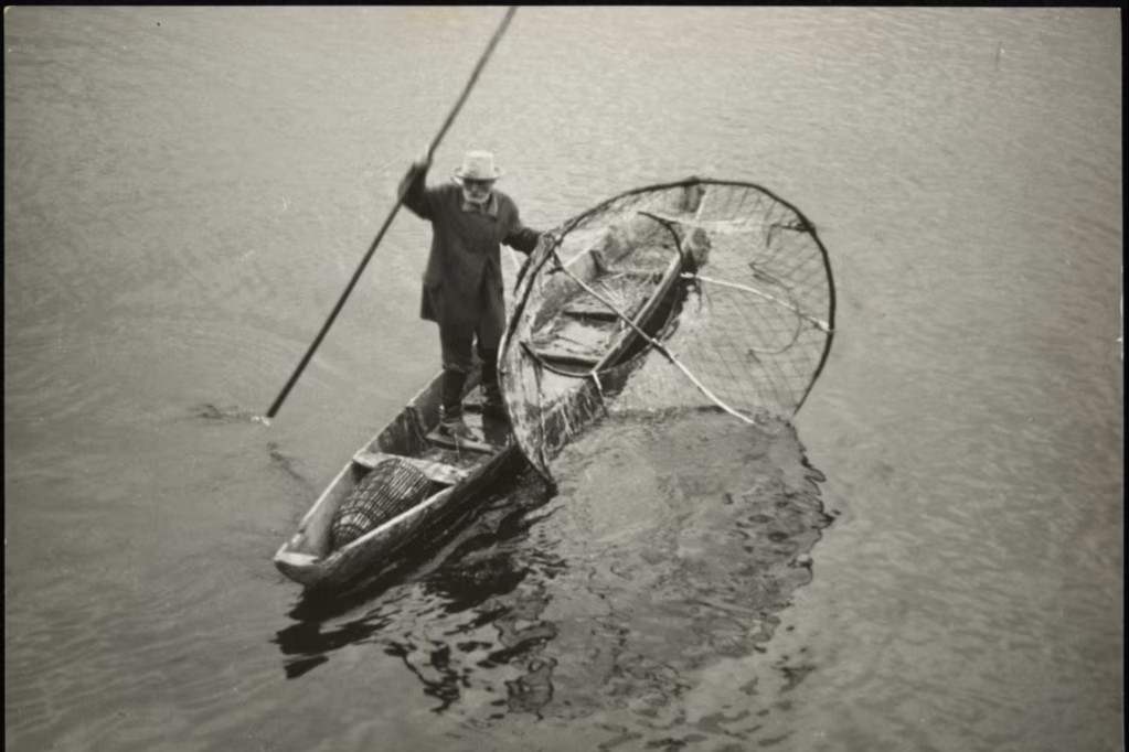 Рыбак ловит рыбу бреднем в реке Пине
