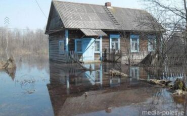 Паводок на Полесье, Лунинецкий район. фото из архива Паводок на Полесье, Лунинецкий район. фото из архива