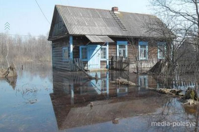 Паводок на Полесье, Лунинецкий район. фото из архива 