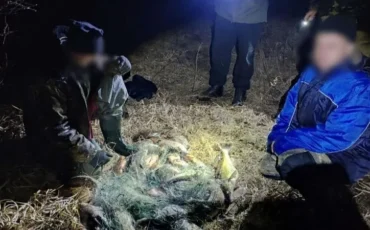 Фото Пинской межрайинспекции