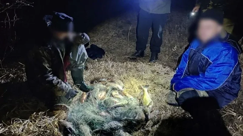 Фото Пинской межрайинспекции