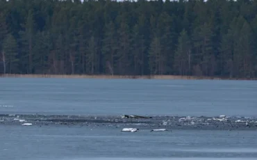 Обломки дрона, упавшего на озерный лед в Литве. Фото: Julius Kalinskas / Elta Обломки дрона, упавшего на озерный лед в Литве. Фото: Julius Kalinskas / Elta