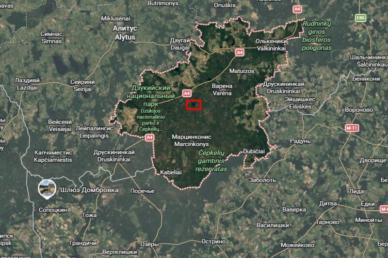 Варенский район Литвы и озеро Лависас (выделено). Скриншот: Google Maps