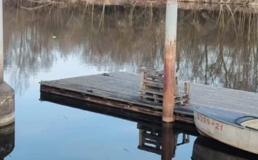 Фото: ОСВОД