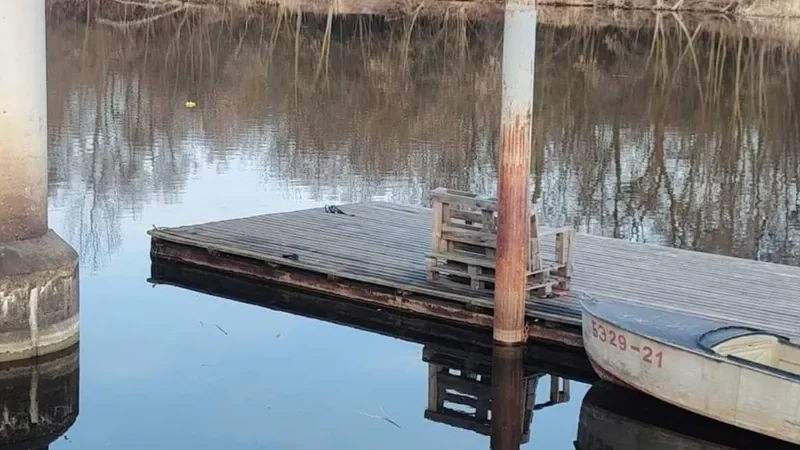 Фото: ОСВОД