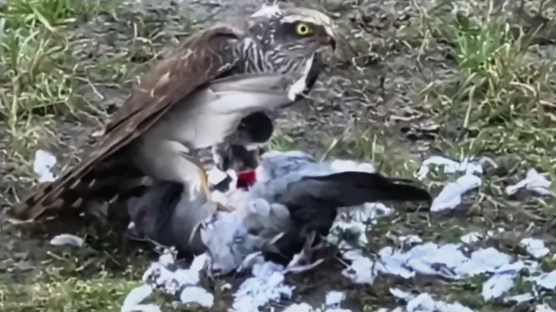 Фото: соцсети