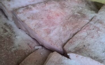 Фото: Россельхознадзор