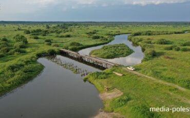 Фото используется в качестве иллюстрации Фото используется в качестве иллюстрации