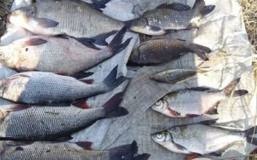 Фото: Столинская межрайонная инспекция