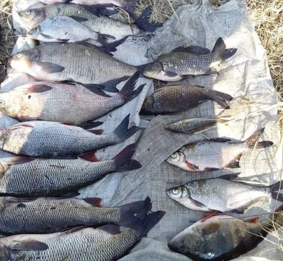 Фото: Столинская межрайонная инспекция