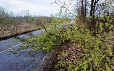 Фото: Столинский райисполком Фото: Столинский райисполком
