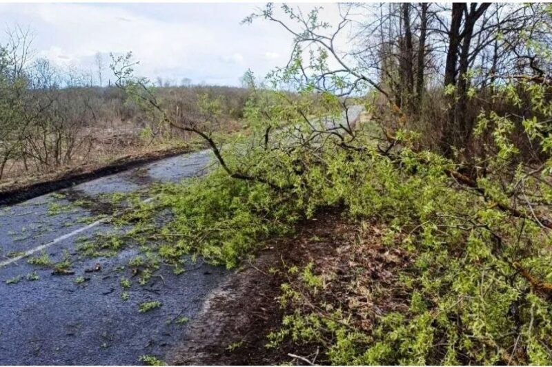 Фото: Столинский райисполком