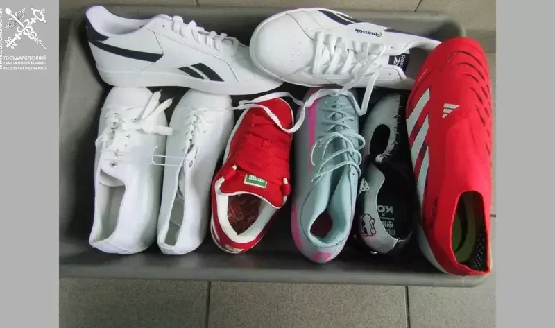 Кроссовки, за которые оштрафовали человека. Фото: Государственный таможенный комитет Беларуси