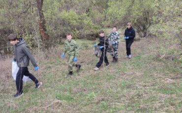 Фото: Столинский телеграм