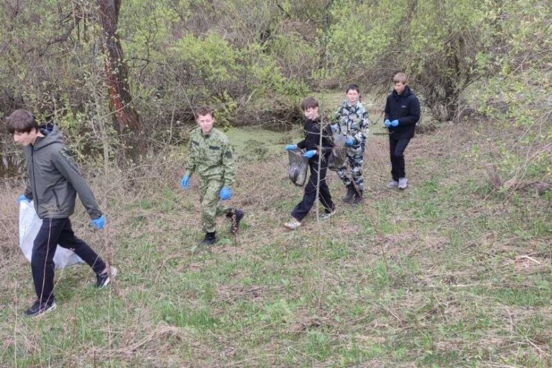 Фото: Столинский телеграм