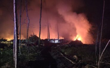 Фото: Минлесхоз