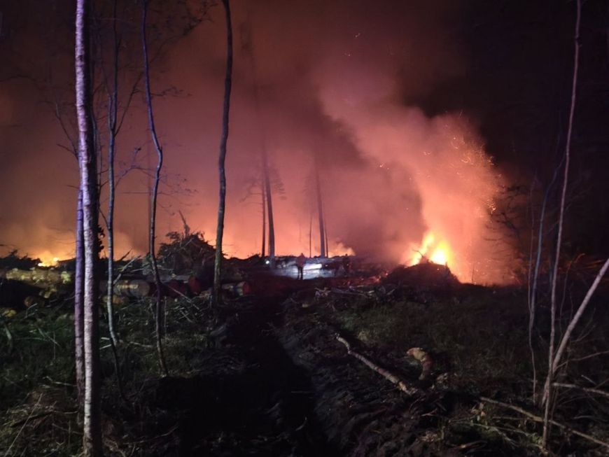 Фото: Минлесхоз