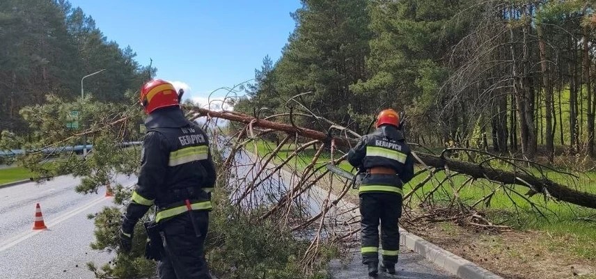Фото главное и по тексту Пинского ГРОЧС