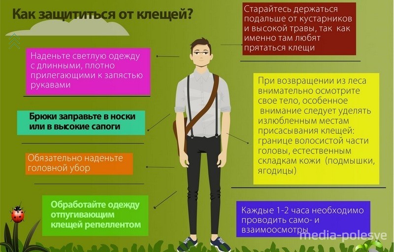 как защититься от укуса клещей