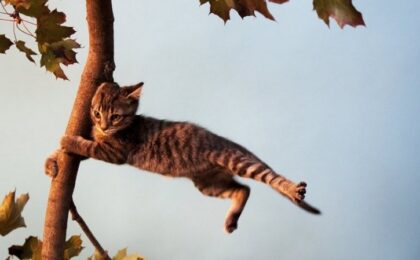 Снимок носит иллюстративный характер / Фото: bobrlife.by