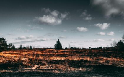 Фото: pexels.com