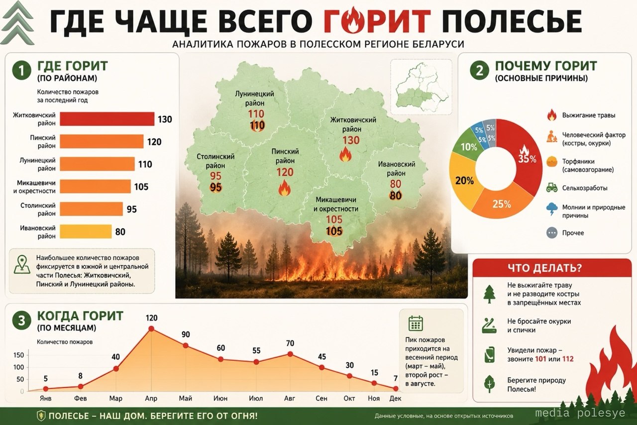 Инфографика медиа полесье
