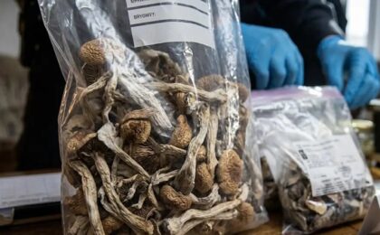 Изображение используется в качестве иллюстрации