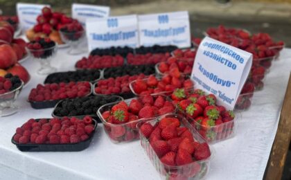Фото главное и по тексту Лунинецкий райисполком
