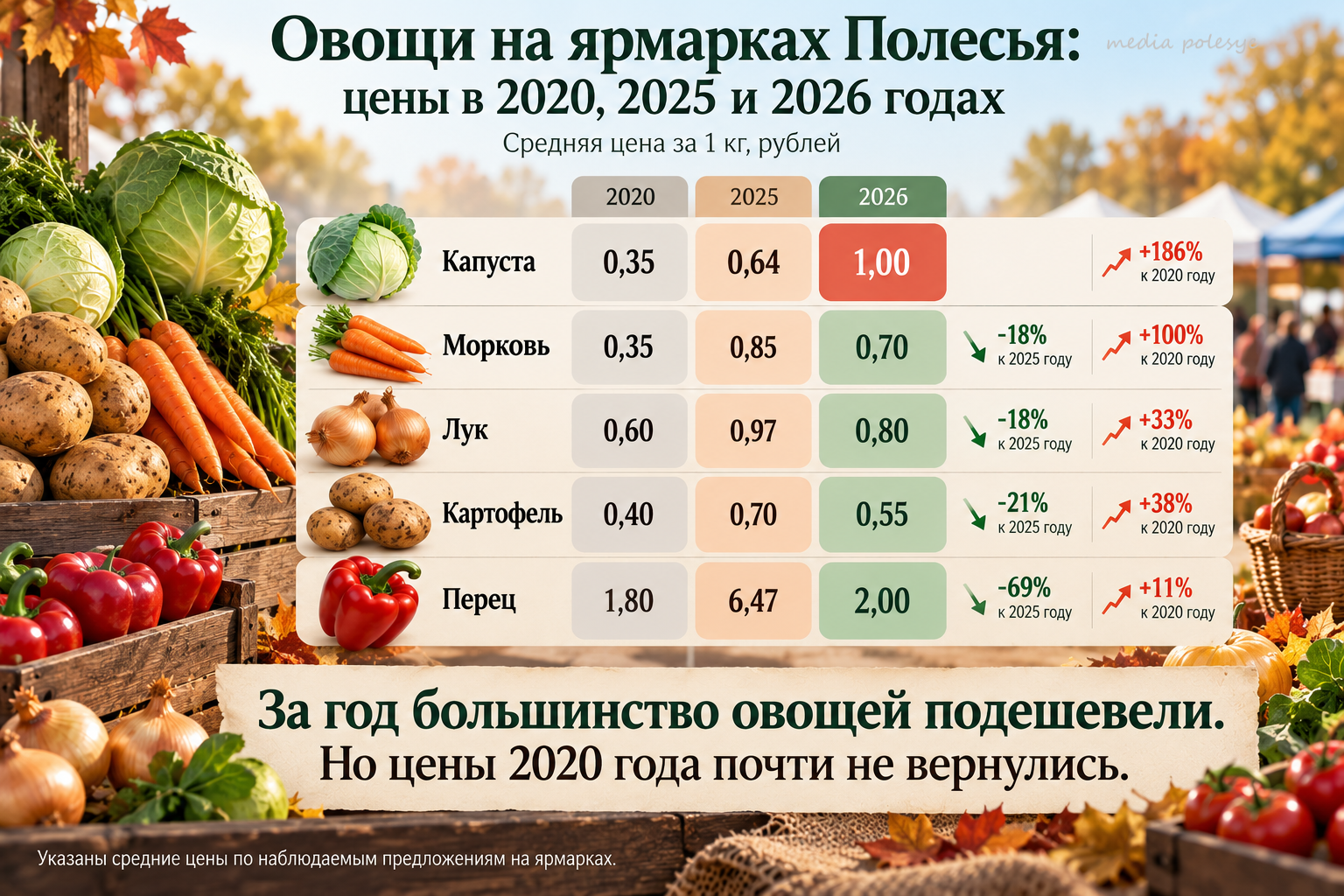 Инфографика МП
