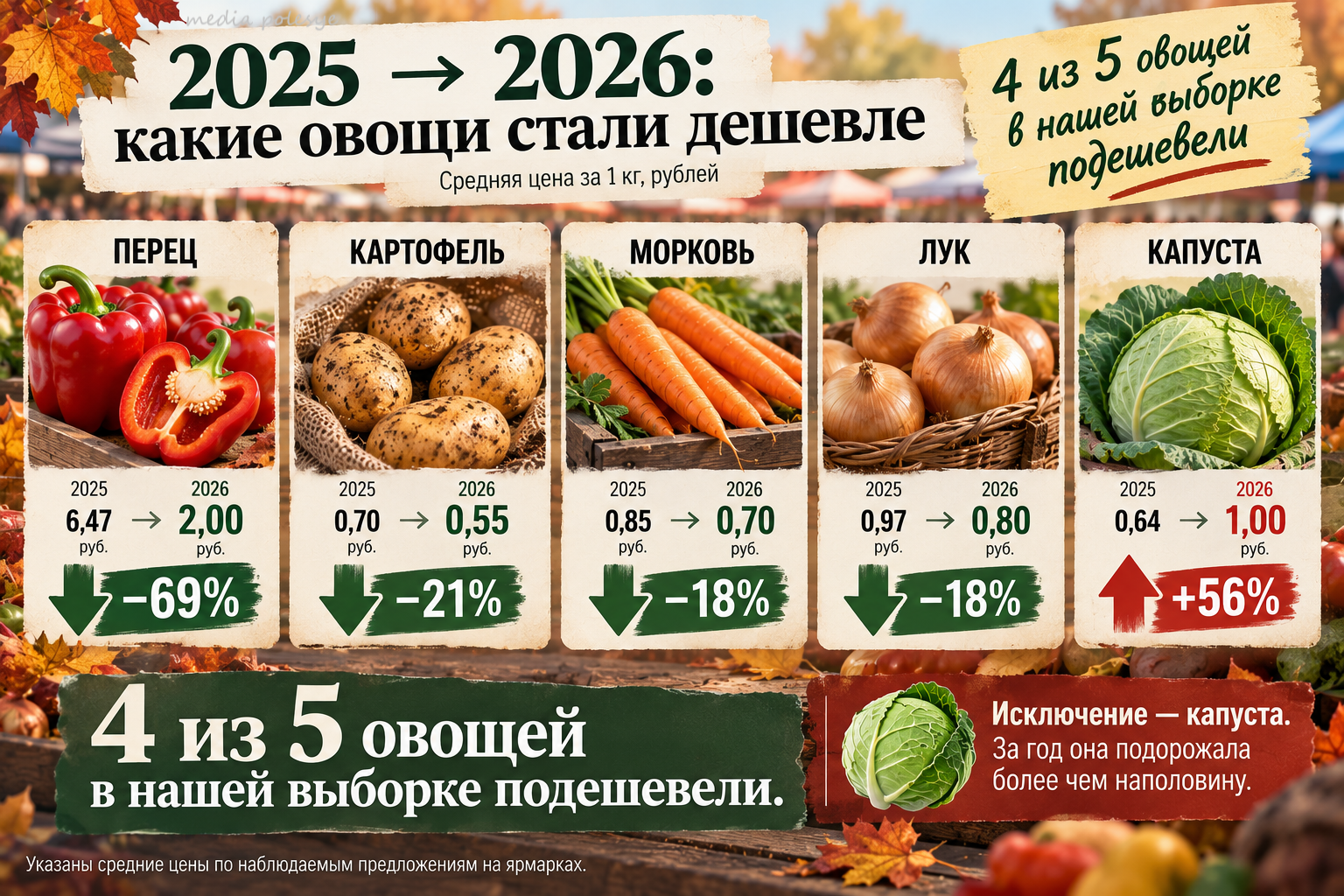 Инфографика МП